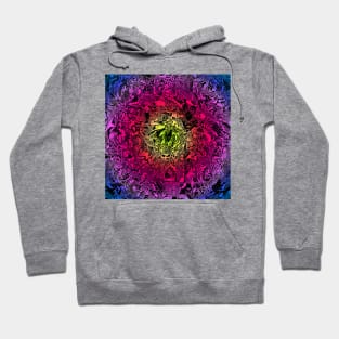 Mental Maze Color Abstract Hoodie